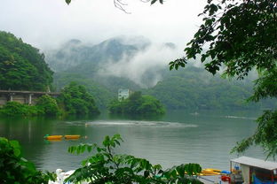 日本福井九龙头川出现梅雨季节特有奇景 成摄影爱好者胜地 图 