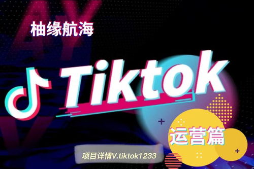 tiktok国际版蓝奏云_TikTok品牌推广