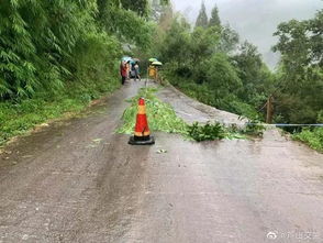 雨,大雨,大暴雨,芦山多地暴雨成灾,道路冲毁 泥石流造成多条交通中断 路段 