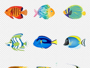 手绘卡通海洋动物彩色热带鱼png免扣素材图片 模板下载 5.39MB 动物大全 自然 