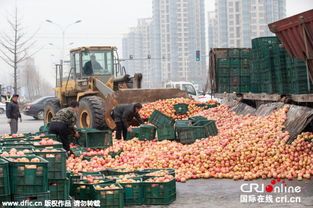 真钱斗地主游戏哪个好