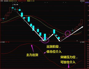 请问买哪支股票应该根据什么判断，有的人亏有的人赚，这个亏的钱往哪里去了，赚的钱又是从哪里来的啊