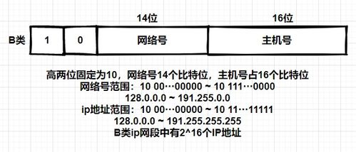 将域名解析为ip地址的协议是,域名解析为IP地址的协议——DNS详解  第3张