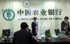 农业银行吃股息,农业银行的股票有股息吗