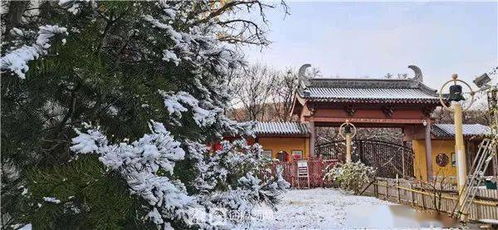 烟台人挺住 雪雪雪马上到 最低 5 大风警报