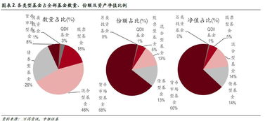 掌上基金里的持仓份额是什么？