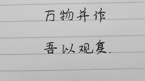 顺风顺水顺人意猜一生肖民间谚语