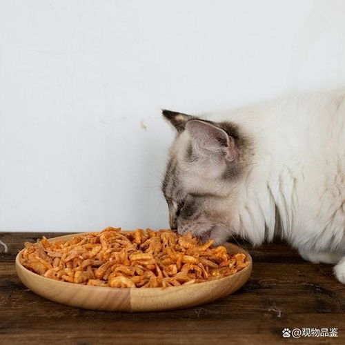 宠物猫冻干零食是怎么做出来的 如何制作宠物冻干零食