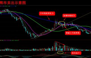 熊市里应抱着怎样的心态。