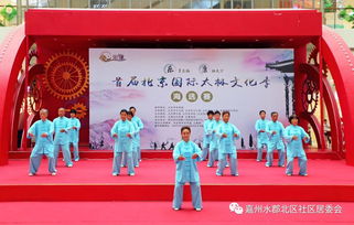 首届北京国际太极文化季 房山赛区嘉州北区太极队荣获第三名