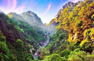 泰山风景图,标题：泰山风景图：自然与人文的交融