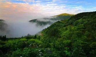 天目山门票,东天目山要门票吗？-第1张图片