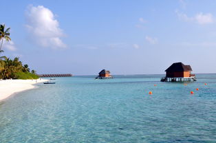 马尔代夫白金岛旅游一次梦幻之旅