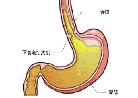 胃和后背不适的原因有哪些？