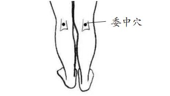 委中怎么找最简单,委中穴是足太阳膀胱经