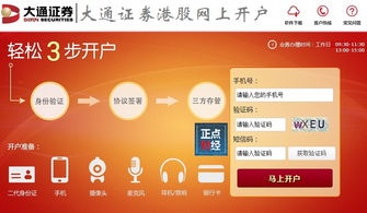 我在大通证券开的户，我怎么才能用手机炒股
