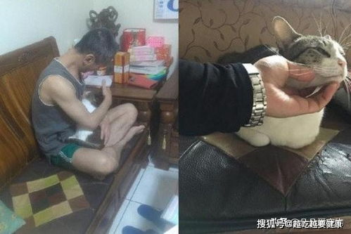 父亲一开始很反对养猫,没想到八年后,竟然不让带走猫咪了