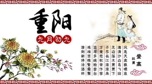 重阳节是在农历的几月