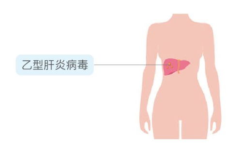 亲吻可能传播的4种疾病,很多人还不知道 