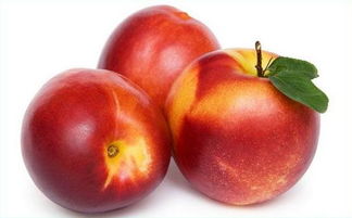 油桃与毛桃有什么区别吗 油桃与毛桃的区别有哪些
