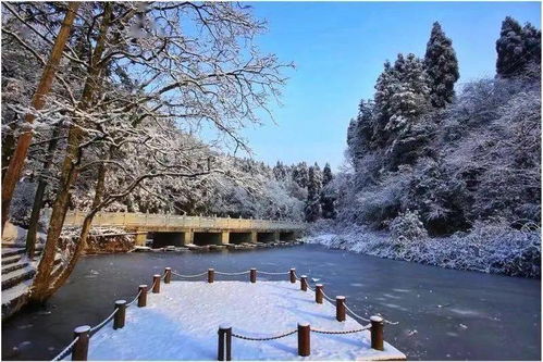 冻真格 , 成都看雪啦