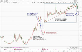  台湾富邦金控市值多少亿,突破万亿大关 天富登录