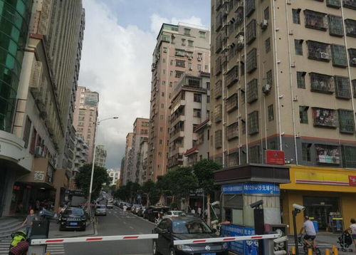 深圳沙元埔村改造后 住得起 还是 住得好 租客的艰难选择