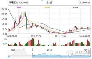 "；华峰氨纶"；还有前途吗?我是7.21进的