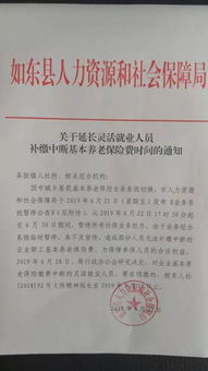 个人灵活就业社保断了可以补缴纳吗(河北灵活就业补缴养老保险)