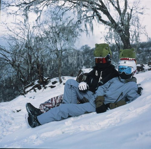 嘿,一起来玩单板滑雪吧