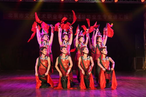 北京舞蹈培训学校哪个好,北京舞蹈培训学校推荐，让你成为舞动灵魂的舞者！