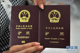 怎么知道护照签证通过了
