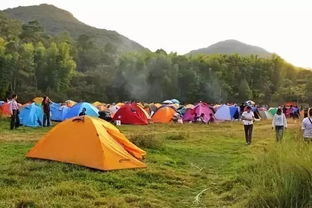 楚雄附近露营野炊地点推荐