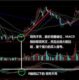 向高手请教个问题： 如果某只股票当天买入和卖出的比例相持不超过1%，既买入资金100万，卖出资金99万， 这