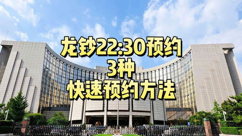 2024年龙钞在哪预约 2024年龙钞在哪预约 融资