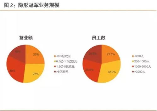  富邦集团市值是多少,2024年的市场表现与展望 天富登录