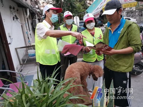 宁波集中开展养犬管理联合整治行动 分三阶段进行 