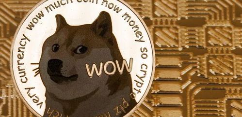 doge币发行价多少,aidoge发行总量是多少agld发行总量