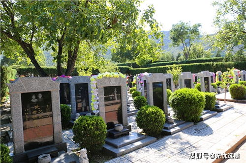 提前在北京购买墓地有什么好处