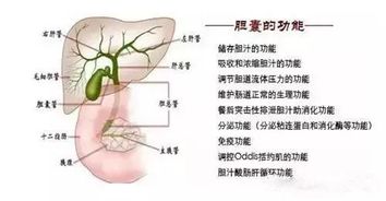 胆囊切除后留下金属夹子没事吗(胆囊切除身体里有夹子)