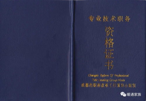 如何评经济师职称,突破职业瓶颈，迈向成功之路：如何评价经济师职称