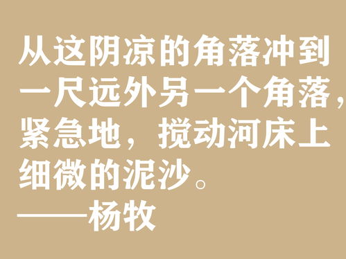 形容大局的名言句子—团队精神说说？