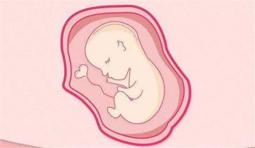 原创胎儿在什么时候开始入盆？胎儿入盆的感觉是什么样的？