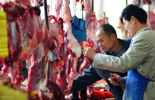 都是牛肉,为什么进口的牛肉可以煎牛排 而中国的牛肉却不可以