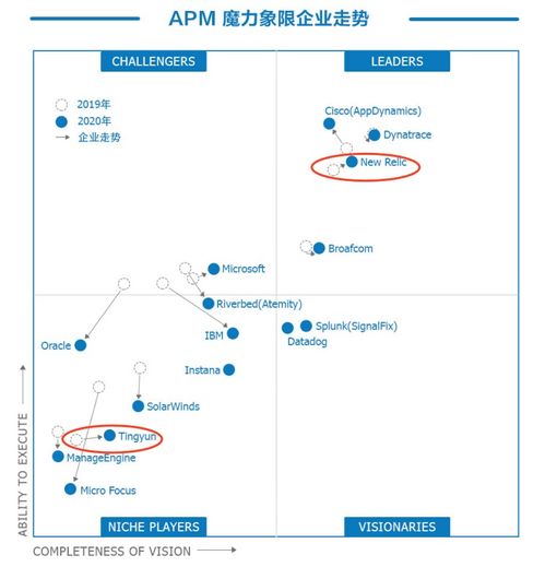 听云这个公司的实力怎么样？