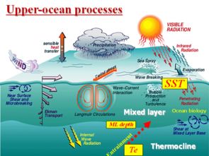 普林斯顿海洋模式,The Priceo Ocea Model: Udersadig Ocea Dyamics