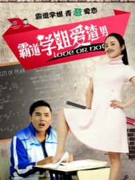 《霸道学姐爱渣男》,电影简介