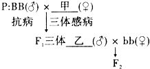 用什么方法确定基因在染色体上的具体位置