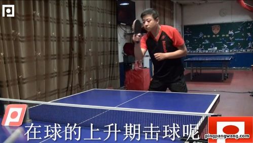 乒乓球教学视频,乒乓 基本动作