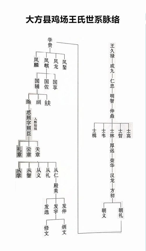 王氏家谱24辈分查询表